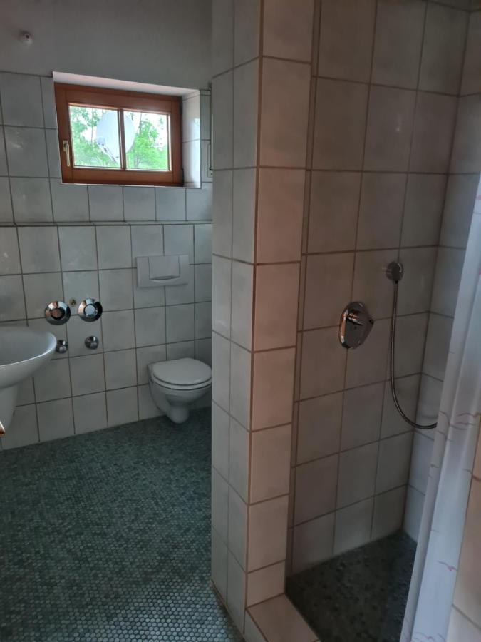 Toller Bergblick Vom Ruhigen Sonnenbalkon, Nur 50M Zum See & Oepnv Inklusive Blaichach Exterior photo